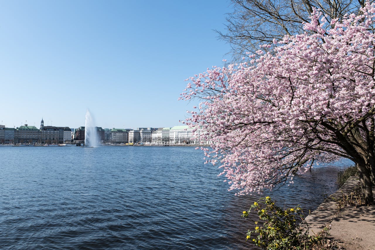 Mei in Europa: citytrips met zon, sfeer en lange avonden