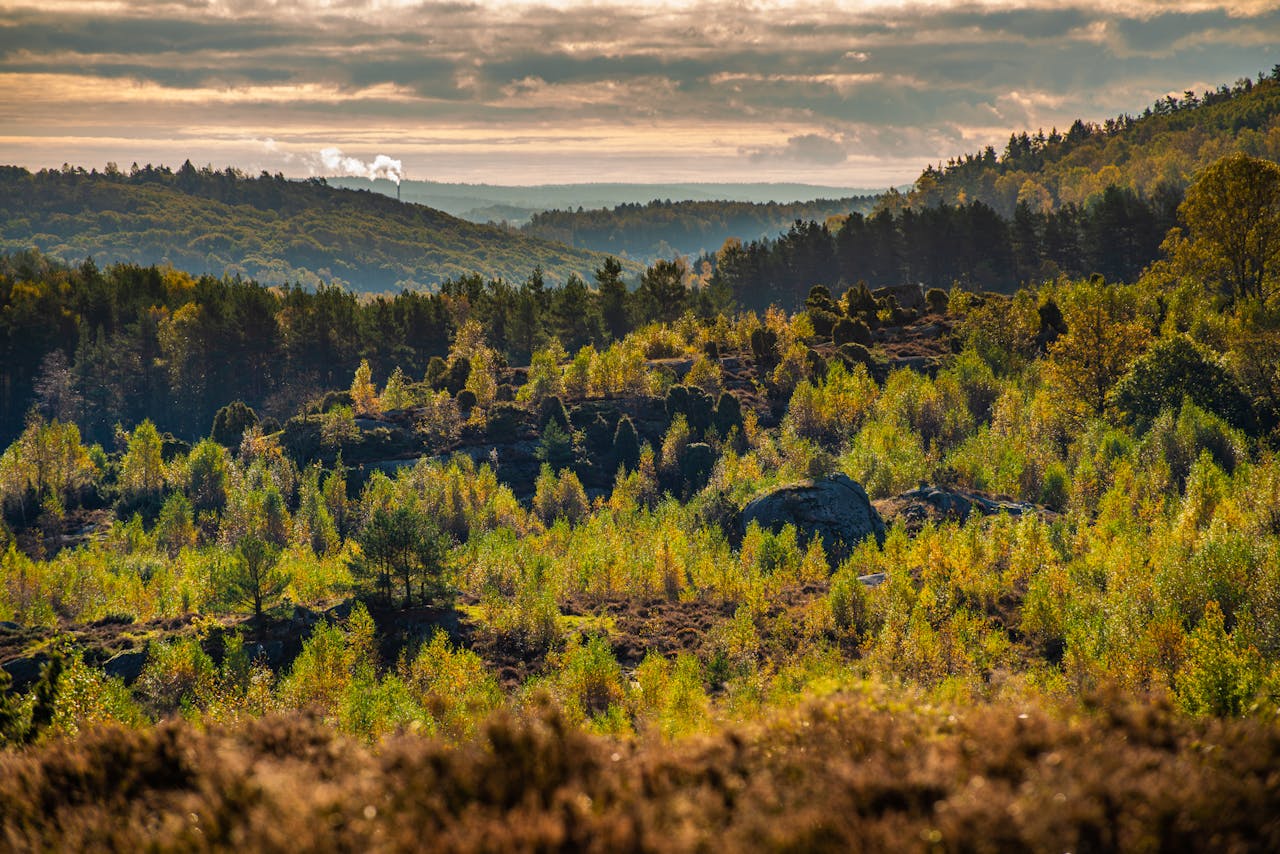 Wandelen langs meren, bossen en heuvels in de Ardennen