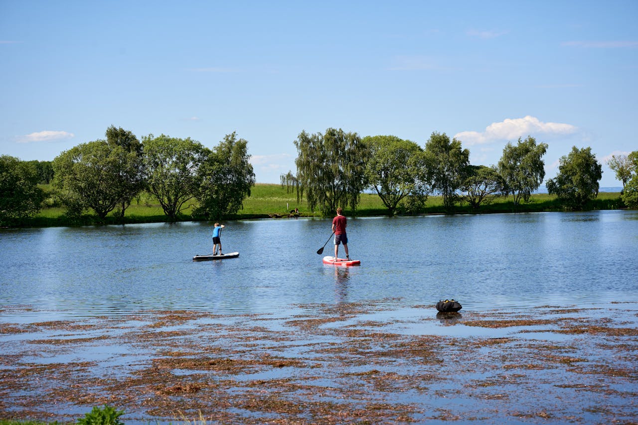 Actieve vakanties aan het water: suppen, kajakken en zwemmen